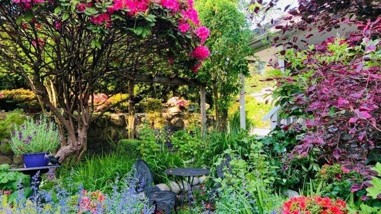 Beautiful Vancouver garden